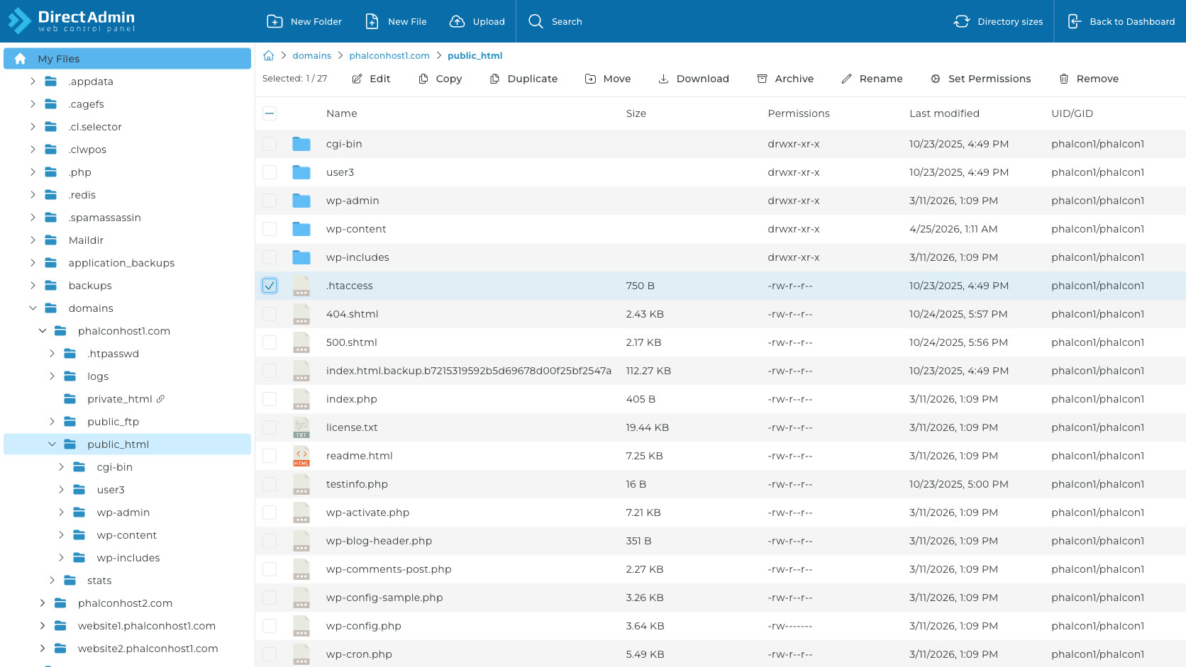 ภาพหน้าจอ DirectAdmin File Manager ขณะเลือกไฟล์และแสดงปุ่ม Edit Copy Download Rename Set Permissions และ Remove